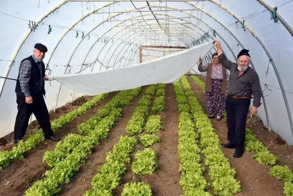 Edirneli sebze üreticileri seralarda dona karşı önlem alıyor Edirneli sebze üreticileri seralarda dona karşı önlem alıyor