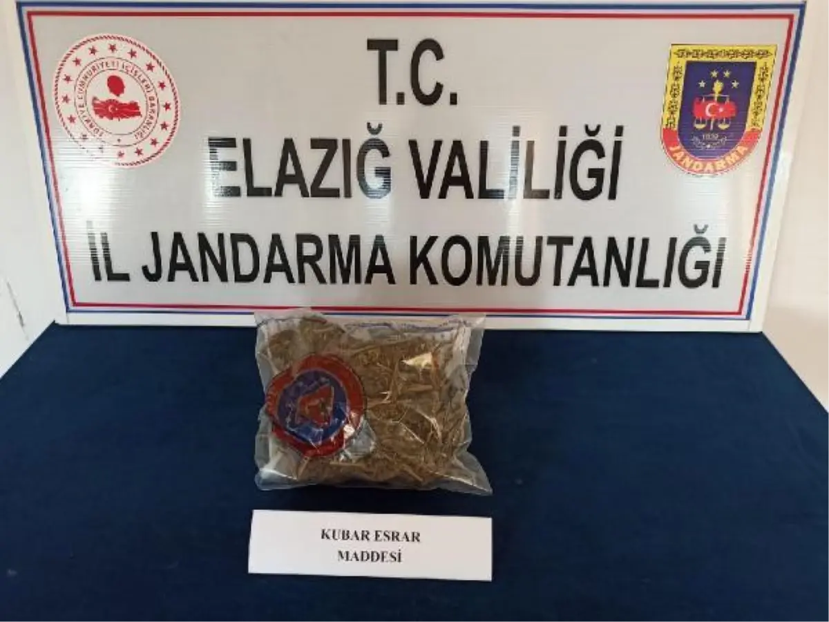 Elazığ'da uyuşturucu operasyonu: 2 gözaltı