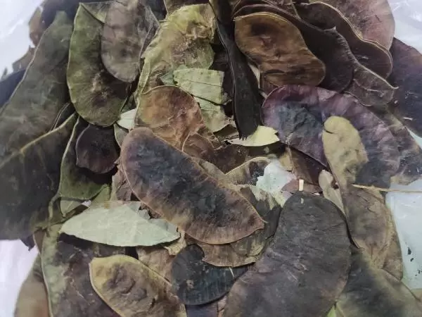 Hızlı zayıflamak isterken sağlığınızdan olmayın; Açlık otuna dikkat! Hızlı zayıflamak isterken sağlığınızdan olmayın; Açlık otuna dikkat!