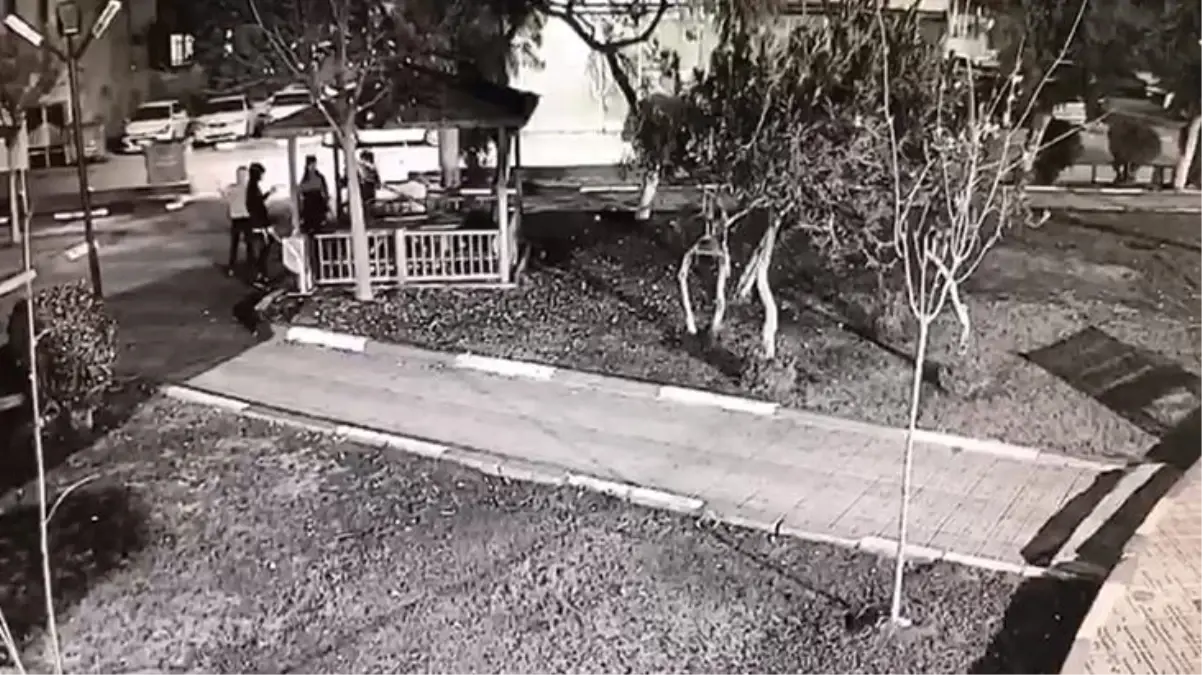 Kamelyayı kıran gençlere belediyeden sitem: Kırılan sadece kamelya olmadı, kalbimizi de kırdınız