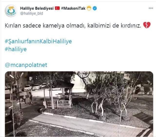 Kamelyayı kıran gençlere belediyeden sitem: Kırılan sadece kamelya olmadı, kalbimizi de kırdınız