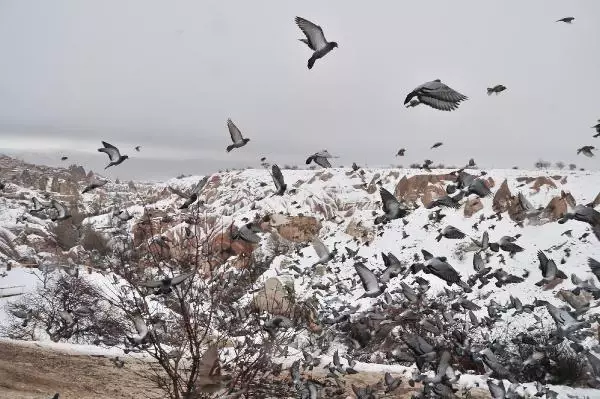 Kapadokya beyaza büründü Kapadokya beyaza büründü