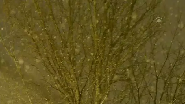 Erzurum, Ağrı ve Kars'ta kar yağışı etkili oldu Erzurum, Ağrı ve Kars'ta kar yağışı etkili oldu