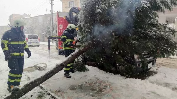 Kar yağışına dayanamayan ağaç cipin üzerine devrildi Kar yağışına dayanamayan ağaç cipin üzerine devrildi