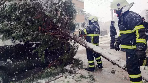 Kar yağışına dayanamayan ağaç cipin üzerine devrildi Kar yağışına dayanamayan ağaç cipin üzerine devrildi