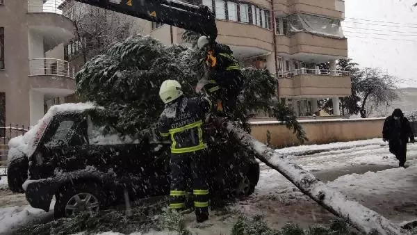Kar yağışına dayanamayan ağaç cipin üzerine devrildi Kar yağışına dayanamayan ağaç cipin üzerine devrildi