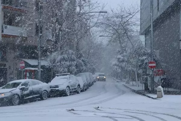 Manisa'da kar yağışını gören sokağa çıktı, yaban hayvanlarına yiyecek bırakıldı Manisa'da kar yağışını gören sokağa çıktı, yaban hayvanlarına yiyecek bırakıldı