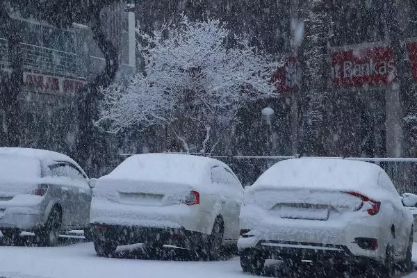 Manisa'da kar yağışını gören sokağa çıktı, yaban hayvanlarına yiyecek bırakıldı Manisa'da kar yağışını gören sokağa çıktı, yaban hayvanlarına yiyecek bırakıldı