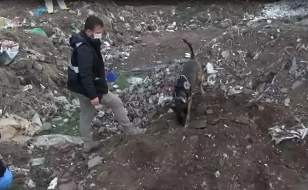 Terör örgütüne yönelik operasyonda havan rampası ve mühimmatı ile patlayıcı ele geçirildi Terör örgütüne yönelik operasyonda havan rampası ve mühimmatı ile patlayıcı ele geçirildi