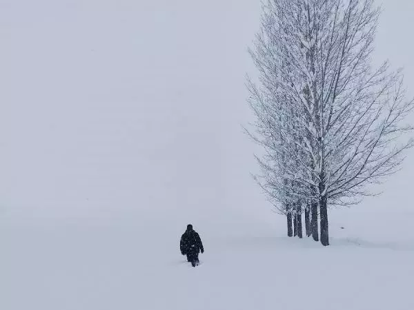 Tunceli'nin Ovacık ilçesinde kar kalınlığı 1,5 metreyi buldu! Ev ve araçlar kardan görünmez hale geldi Tunceli'nin Ovacık ilçesinde kar kalınlığı 1,5 metreyi buldu! Ev ve araçlar kardan görünmez hale geldi
