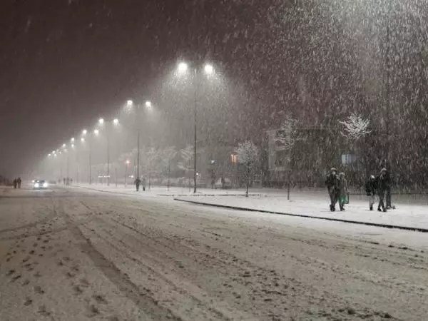 Sakarya'da 'kar' keyfi Sakarya'da 'kar' keyfi