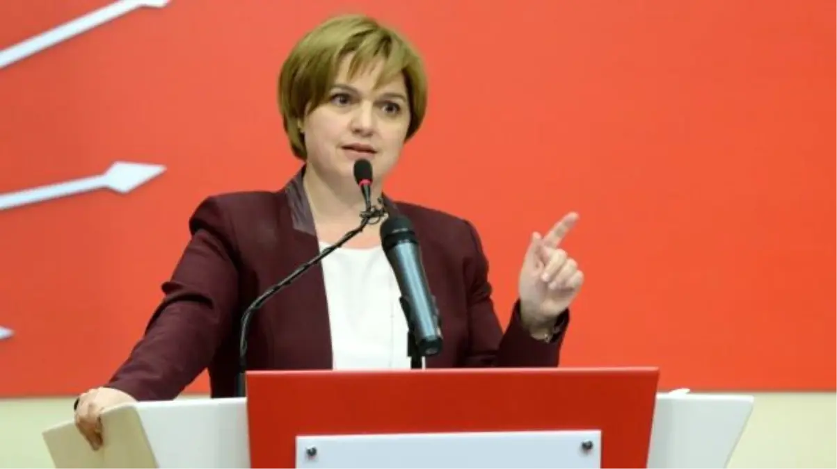 Selin Sayek Böke kimdir? Nereli, kaç yaşında, mesleği ne? Hayatı ve biyografisi!