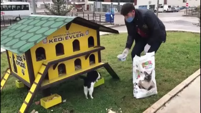 Hatay'da jandarma ve hayvan severlerden sokak hayvanlarına yiyecek desteği Hatay'da jandarma ve hayvan severlerden sokak hayvanlarına yiyecek desteği