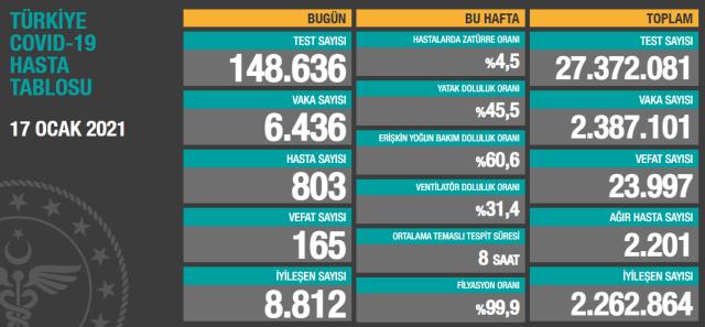 Son Dakika: Türkiye'de 17 Ocak günü koronavirüs nedeniyle 165 kişi vefat etti, 6436 yeni vaka tespit edildi