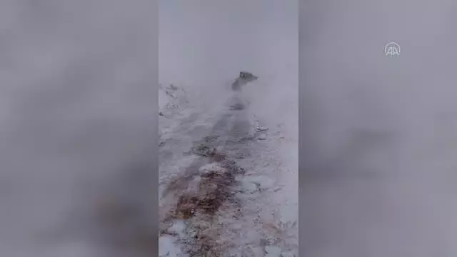 Tipide mahsur kalan ÇEDAŞ ekiplerinin imdadına karla mücadele ekipleri yetişti Tipide mahsur kalan ÇEDAŞ ekiplerinin imdadına karla mücadele ekipleri yetişti