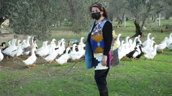 Torunlarına organik yumurta yedirmek için yola çıktılar, çiftlik sahibi oldular Torunlarına organik yumurta yedirmek için yola çıktılar, çiftlik sahibi oldular