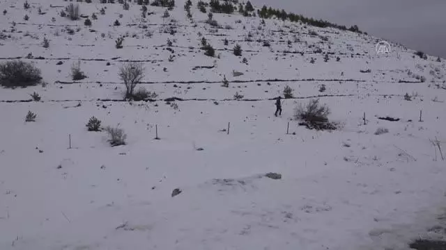 Yabani hayvanlar için doğaya yem bırakıldı Yabani hayvanlar için doğaya yem bırakıldı