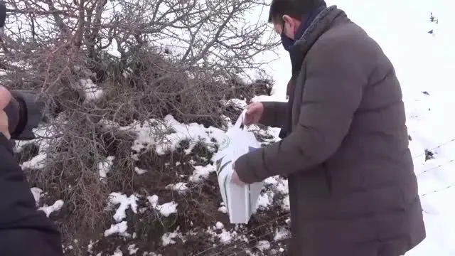 Yabani hayvanlar için doğaya yem bırakıldı Yabani hayvanlar için doğaya yem bırakıldı