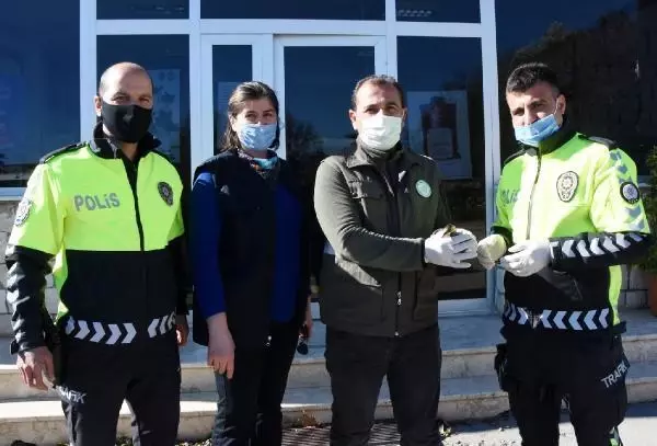 Yaralı kuşa polis şefkati Yaralı kuşa polis şefkati
