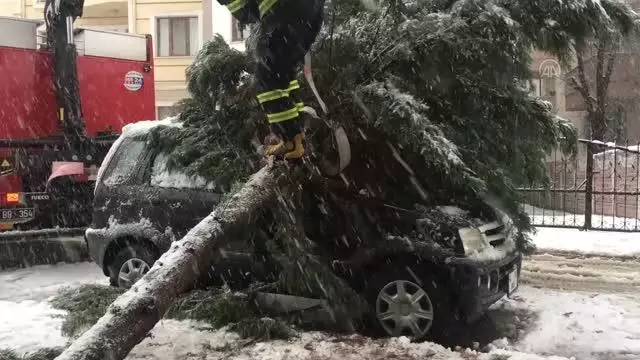 Yoğun kar yağışı nedeniyle arazi aracının üzerine ağaç devrildi Yoğun kar yağışı nedeniyle arazi aracının üzerine ağaç devrildi