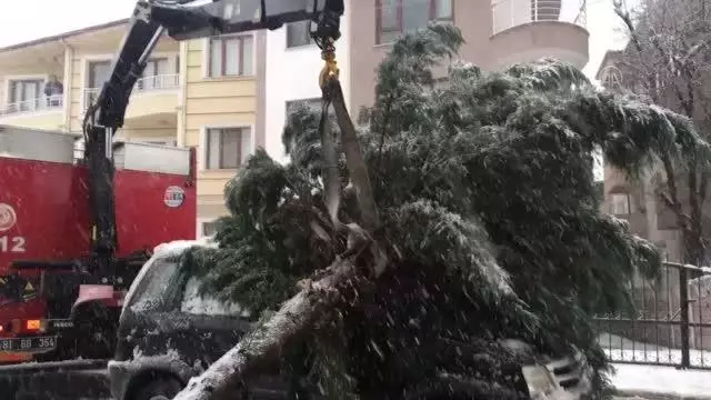 Yoğun kar yağışı nedeniyle arazi aracının üzerine ağaç devrildi Yoğun kar yağışı nedeniyle arazi aracının üzerine ağaç devrildi
