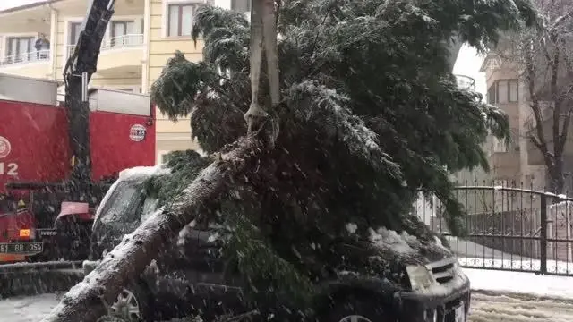 Yoğun kar yağışı nedeniyle arazi aracının üzerine ağaç devrildi Yoğun kar yağışı nedeniyle arazi aracının üzerine ağaç devrildi