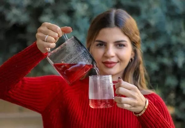 Bağışıklığın dopingi bitki çayları Bağışıklığın dopingi bitki çayları