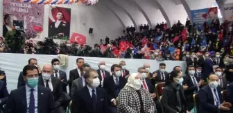 Aydın: Son dakika! Bakan Zehra Zümrüt Selçuk: 'Tüm kadınlarımızın yanında olmaya devam edeceğiz' Aydın: Son dakika! Bakan Zehra Zümrüt Selçuk: 'Tüm kadınlarımızın yanında olmaya devam edeceğiz'