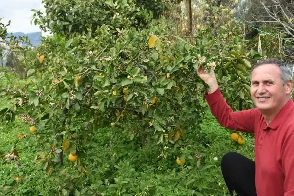 Türkiye'de kar yağışı etkisi gösterirken, Demre'de kış ortasında bahar yaşanıyor Türkiye'de kar yağışı etkisi gösterirken, Demre'de kış ortasında bahar yaşanıyor