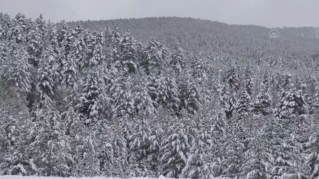 Kars Çayı'nı mesken tutan ördekler güzel görüntü oluşturdu Kars Çayı'nı mesken tutan ördekler güzel görüntü oluşturdu