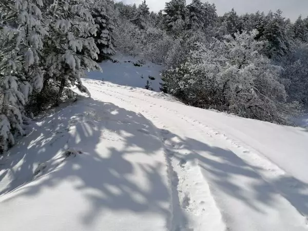 Elazığ'da 94 köy yolu, kar nedeniyle ulaşıma kapandı Elazığ'da 94 köy yolu, kar nedeniyle ulaşıma kapandı