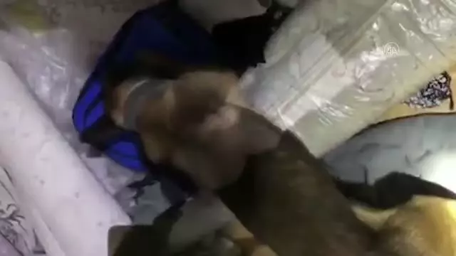 Son dakika... ESKİŞEHİR - Uyuşturucu operasyonunda 6 şüpheli tutuklandı Son dakika... ESKİŞEHİR - Uyuşturucu operasyonunda 6 şüpheli tutuklandı