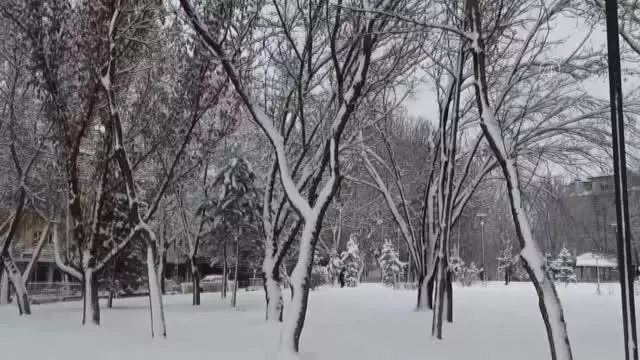 KAHRAMANMARAŞ - Kar yağışı etkili oldu (3) KAHRAMANMARAŞ - Kar yağışı etkili oldu (3)