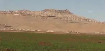 Diyarbakır: Kuraklık endişesi yaşayan Diyarbakır ve Mardinli çiftçinin yüzü son yağışlarla güldü Diyarbakır: Kuraklık endişesi yaşayan Diyarbakır ve Mardinli çiftçinin yüzü son yağışlarla güldü