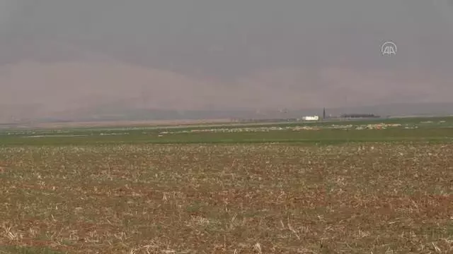 Kuraklık endişesi yaşayan Diyarbakır ve Mardinli çiftçinin yüzü son yağışlarla güldü Kuraklık endişesi yaşayan Diyarbakır ve Mardinli çiftçinin yüzü son yağışlarla güldü