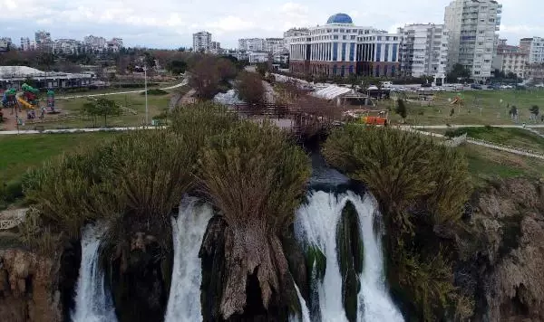 Şelalede ölen balıklar denizde martılara yem oldu Şelalede ölen balıklar denizde martılara yem oldu