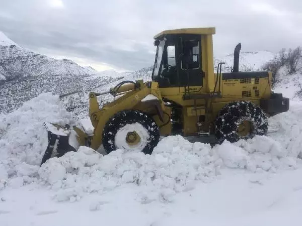 Siirt'te karda mahsur kalan yolcu minibüsü kurtarıldı Siirt'te karda mahsur kalan yolcu minibüsü kurtarıldı