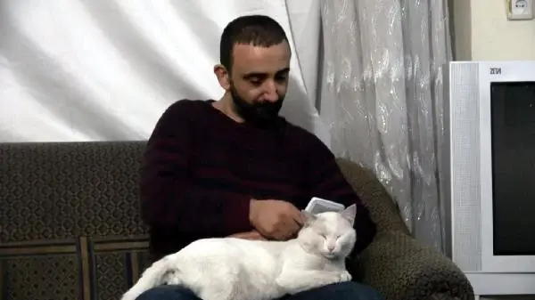 Yaralı kedinin iyileşmesi için 3 gün başında bekledi Yaralı kedinin iyileşmesi için 3 gün başında bekledi