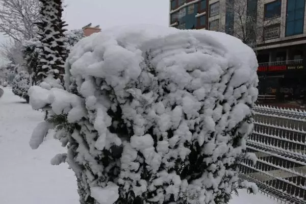 Adıyaman mevsimin ilk karıyla beyaza büründü Adıyaman mevsimin ilk karıyla beyaza büründü