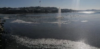 Ankara'da göller ve havuzlar buz tuttu