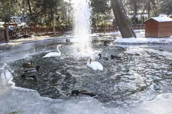 Ankara'da göller ve havuzlar buz tuttu Ankara'da göller ve havuzlar buz tuttu