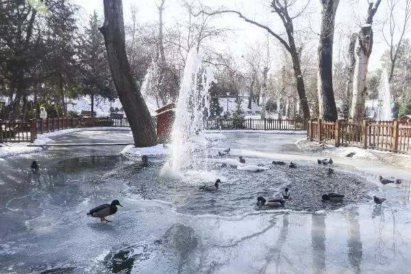Ankara'da göller ve havuzlar buz tuttu Ankara'da göller ve havuzlar buz tuttu