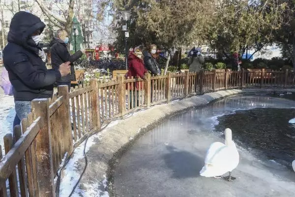 Ankara'da göller ve havuzlar buz tuttu Ankara'da göller ve havuzlar buz tuttu