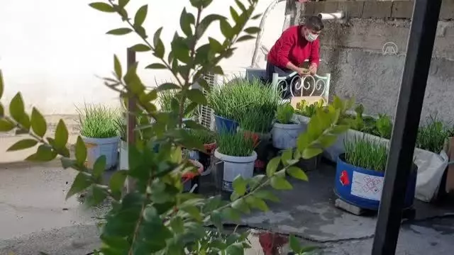 Atık malzemelerden yaptığı saksılarda sebze meyve yetiştiriyor Atık malzemelerden yaptığı saksılarda sebze meyve yetiştiriyor