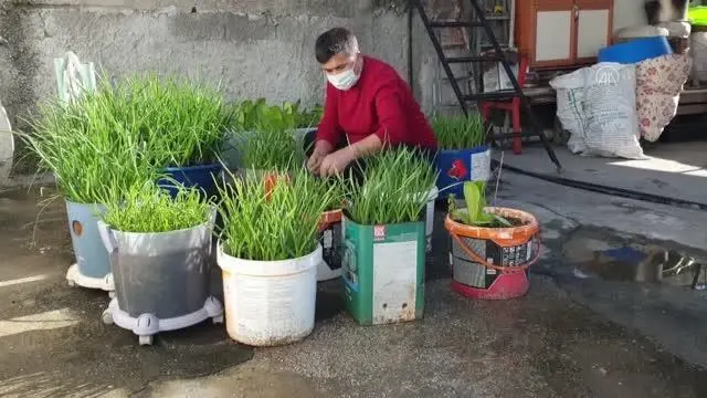 Atık malzemelerden yaptığı saksılarda sebze meyve yetiştiriyor Atık malzemelerden yaptığı saksılarda sebze meyve yetiştiriyor