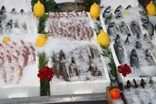 Sahtekarlar bu kez fiyatıyla cep yakan balığa sardı! Balıklara tartıda ağır gelsin diye olta kurşunu yutturuyorlar Sahtekarlar bu kez fiyatıyla cep yakan balığa sardı! Balıklara tartıda ağır gelsin diye olta kurşunu yutturuyorlar