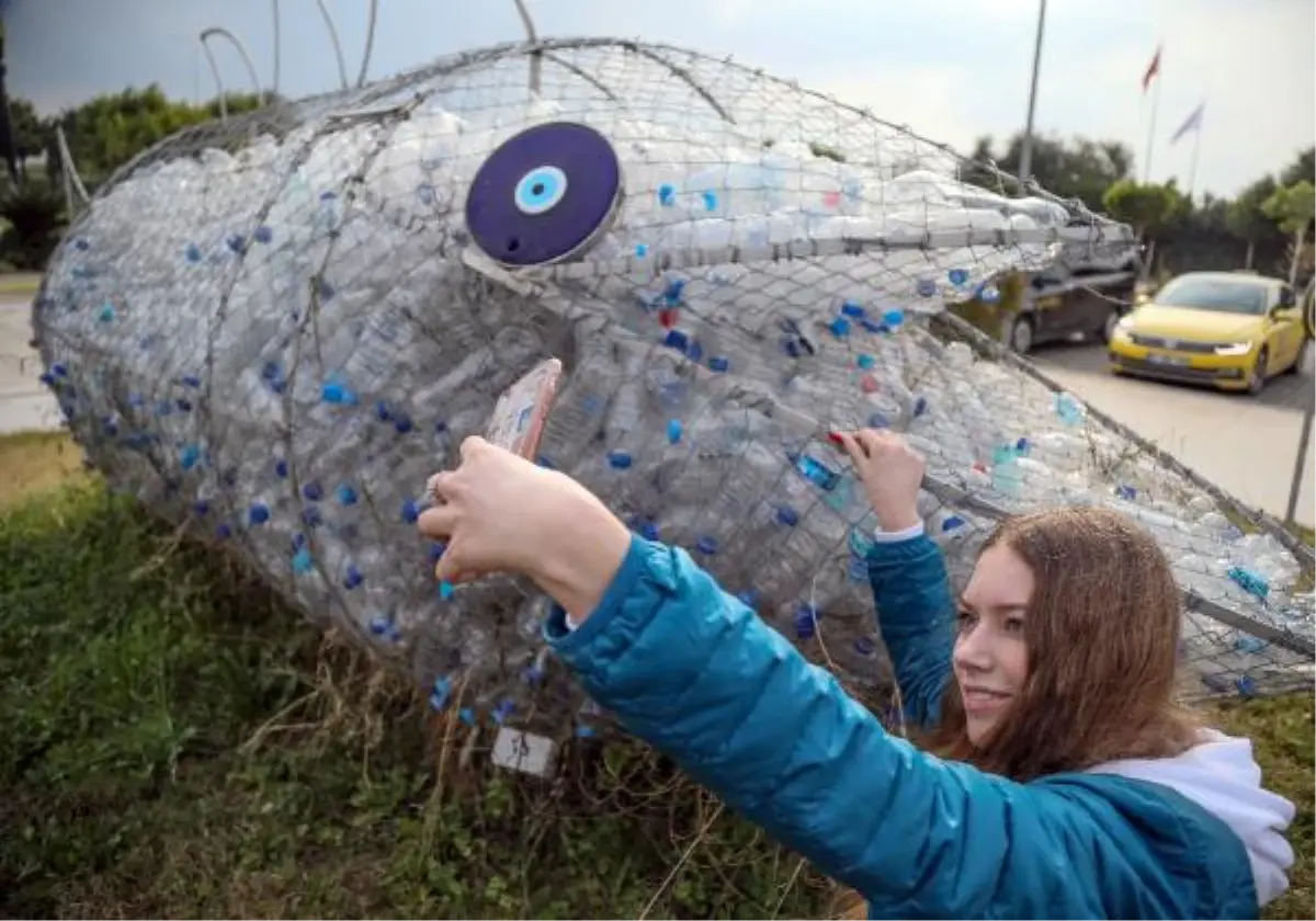 'Çevreci orfoz'un mesajı Asya ve Avrupa'ya ulaştı