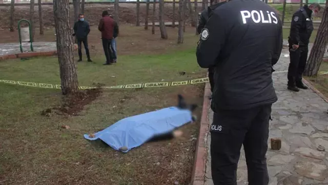 Çocuk parkında kan donduran görüntü: 2 kurşunla öldürülmüş cansız beden bulundu Çocuk parkında kan donduran görüntü: 2 kurşunla öldürülmüş cansız beden bulundu