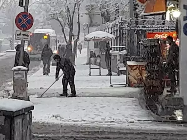 Diyarbakır'da yılın ilk karı, yaşamı olumsuz etkiledi Diyarbakır'da yılın ilk karı, yaşamı olumsuz etkiledi