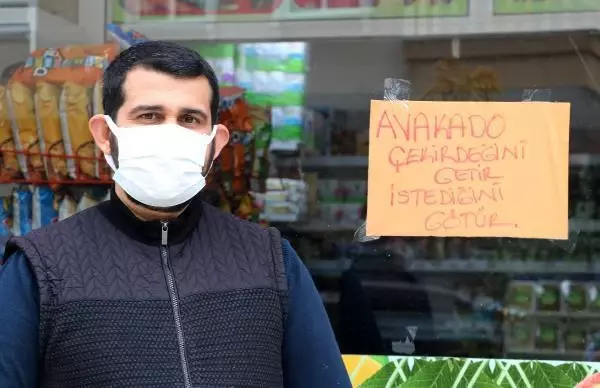 Alanya'da avokado çekirdeği alışveriş aracı oldu! Adet başı 1 lira sayılıyor Alanya'da avokado çekirdeği alışveriş aracı oldu! Adet başı 1 lira sayılıyor